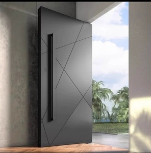Modern Luxury Security Door